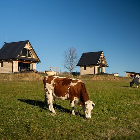 Osada Janosika Jacuzzi Drewniany Domek Na Odludziu Klikuszowa Exterior foto